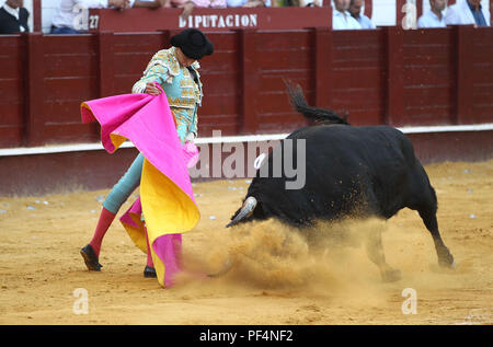 Malaga, Spagna. 18 Agosto, 2018. 18 agosto 2018 - 18 agosto 2018, Malagueta Bullring il torero peruviana Roca Rey apre la grande porta dal taglio 3 spighe nell'ultimo run di Malaga il Fair Credit: Lorenzo Carnero/ZUMA filo/Alamy Live News Credito: ZUMA Press, Inc./Alamy Live News Foto Stock