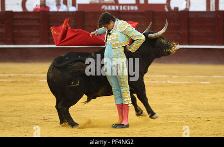 Malaga, Spagna. 18 Agosto, 2018. 18 agosto 2018 - 18 agosto 2018, Malagueta Bullring il torero peruviana Roca Rey apre la grande porta dal taglio 3 spighe nell'ultimo run di Malaga il Fair Credit: Lorenzo Carnero/ZUMA filo/Alamy Live News Credito: ZUMA Press, Inc./Alamy Live News Foto Stock