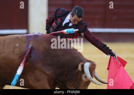 Agosto 2018, malagueta Arena di La Malagueta il torero Jose Maria Manzanares in l'ultima esecuzione della fiera di Malaga. 19 Ago, 2018. Credito: Lorenzo Carnero/ZUMA filo/Alamy Live News Foto Stock