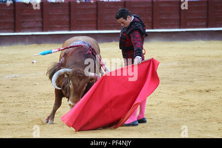 Malaga, Spagna. 18 Agosto, 2018. agosto 2018, malagueta Arena di La Malagueta il torero Jose Maria Manzanares in l'ultima esecuzione della fiera di Malaga. 18 Agosto, 2018. Credito: Lorenzo Carnero/ZUMA filo/Alamy Live News Credito: ZUMA Press, Inc./Alamy Live News Foto Stock