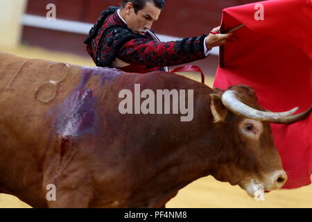 Agosto 2018, malagueta Arena di La Malagueta il torero Jose Maria Manzanares in l'ultima esecuzione della fiera di Malaga. 19 Ago, 2018. Credito: Lorenzo Carnero/ZUMA filo/Alamy Live News Foto Stock