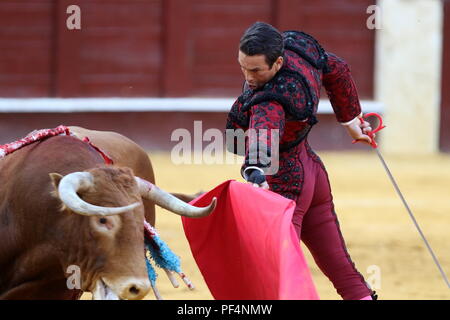 Agosto 2018, malagueta Arena di La Malagueta il torero Jose Maria Manzanares in l'ultima esecuzione della fiera di Malaga. 19 Ago, 2018. Credito: Lorenzo Carnero/ZUMA filo/Alamy Live News Foto Stock