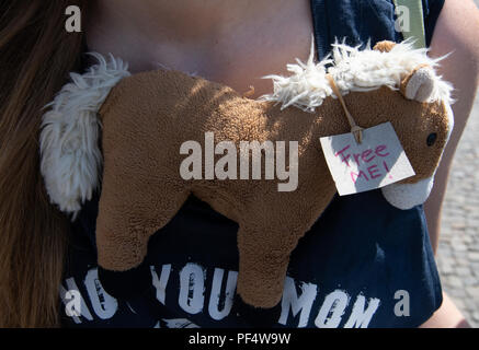 Berlino, Germania. 19 Ago, 2018. "Libera me!" si legge un pezzo di carta attaccato ad un cavallo di peluche sulla Pariser Square. Circa una cinquantina di attivisti per i diritti degli animali di manifestare contro l'uso di carrozze trainate da cavalli a Berlino. La dimostrazione è stata auspicata dal gruppo di azione di "Fair Play", che funziona contro lo sfruttamento degli animali. Credito: Paolo Zinken/dpa/Alamy Live News Foto Stock