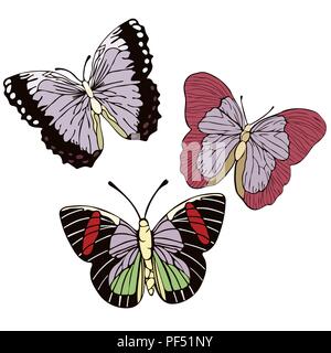 Impostare le farfalle disegno animato illustrazione vettoriale. Astrazione insetto disegnata vista da sopra con colorate ali multicolori isolato sul retro bianco Illustrazione Vettoriale