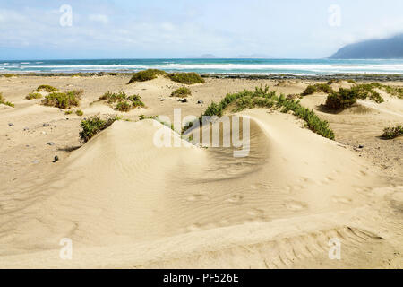 Bellissima vista di Dune con vegetazione verde e Oceano Atlantico sullo sfondo, Lanzarote, Spagna Foto Stock