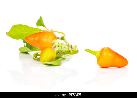 Composizione del lotto intero caldo rosso arancio peperoncino isolati su sfondo bianco Foto Stock