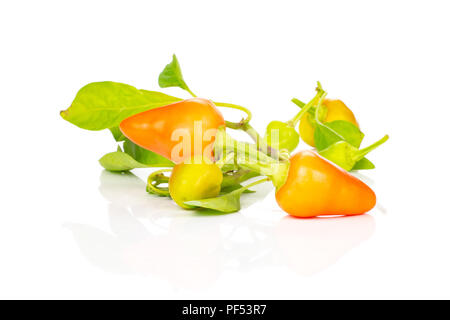 Set di sacco di tutto il caldo rosso arancio peperoncino isolati su sfondo bianco Foto Stock