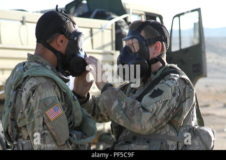 Soldati con Delta Company, 103 Vigili del Battaglione di Ingegneria, 56th Stryker Brigade Combat Team, ventottesima divisione di fanteria, Pennsylvania esercito Guardia nazionale, si aiutano a vicenda chiaro il loro servizio in comune lo scopo generale di maschere durante un inaspettato di gas CS attacco contro il loro accampamento presso il National Training Center, Fort Irwin, California, e il agosto 17. La capacità di reagire rapidamente a un chimico, biologico, radiologico e nucleare rischio assicura che l esercito nazionale soldati di guardia di mantenere la disponibilità standard stabiliti dall'esercito la forza complessiva politica. (U.S. Esercito nazionale Guard foto di Sgt. 1. Classe Holl Foto Stock