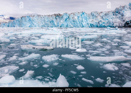 Il Columbia Glacier in Prince William Sound su western Alaska's Chugach Mountains vicino a Valdez Alaska Foto Stock