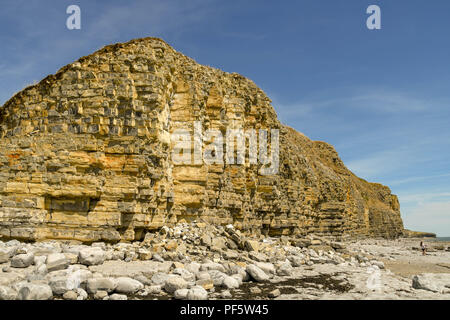 Scogliere sulla costa a Llantwit Major, Galles. Il litorale è un sito conosciuto per la scoperta di Jurassic fossili. Foto Stock