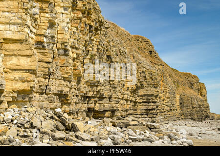 Scogliere sulla costa a Llantwit Major, Galles. Il litorale è un sito conosciuto per la scoperta di Jurassic fossili. Foto Stock