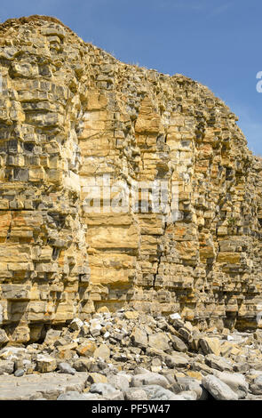 Scogliere sulla costa a Llantwit Major, Galles. Il litorale è un sito conosciuto per la scoperta di Jurassic fossili. Foto Stock