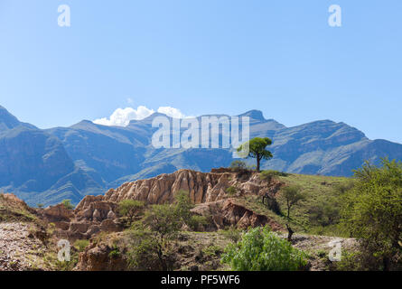 Albero solitario sulla montagna. Cielo blu e bianca nuvola sopra la roccia Foto Stock