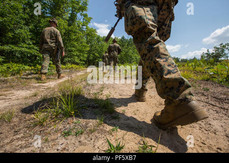 La Scout Sniper con 3° Battaglione, XXV Reggimento Marine, condurre esercitazioni di pattugliamento durante l'esercizio sciopero del Nord a Camp temolo, Mich, 11 Agosto, 2018. Camp temolo, il più grande la Guardia Nazionale nel centro del paese a copertura 147,000 acri, offre molte grandi artiglieria, Malta, serbatoio gamme e i corsi di manovra. (U.S. Marine Corps foto da Cpl. Niles Lee) Foto Stock