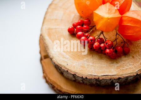 Autunno still life. rowan bacche e physalis sul moncone. Foglie di autunno, raccolto, ashberry sul tavolo. Cartolina di ringraziamento.variegata flora forestale su assi di legno - autunno gli oggetti vista superiore impostato Foto Stock