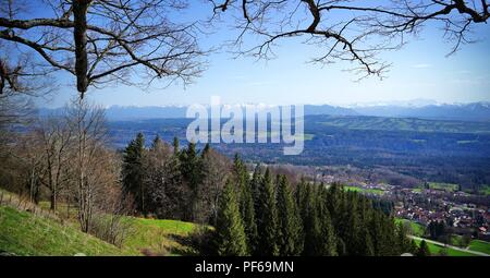 Alpi e Altopiano alpino vista da Hohenpeissenberg, Baviera, Germania. La foresta e i rami degli alberi in primo piano. Foto Stock