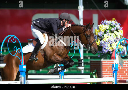 La North American, Abete Prati, giugno 2003, Akita Cup di foratura, Andrew Ramsay (GBR) Morgan di equitazione Foto Stock