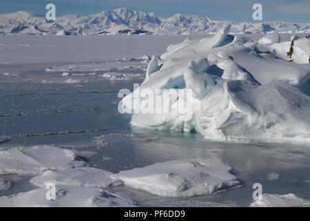 Ice floes e un piccolo iceberg bloccato nell'oceano vicino ad una piccola isola nell'Antartico Foto Stock