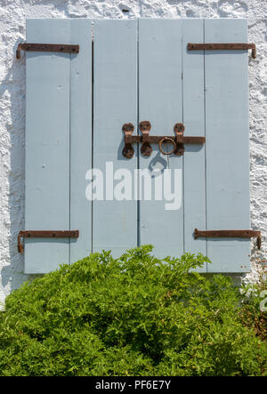 Una coppia di blu dipinto shabby chic casale rustico o persiane in legno su un vecchio granaio o edificio. Foto Stock