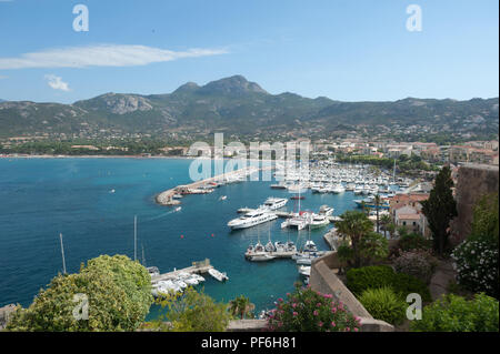 Il porto di Calvi, la Balagne, Corsica, Francia, Europa Foto Stock