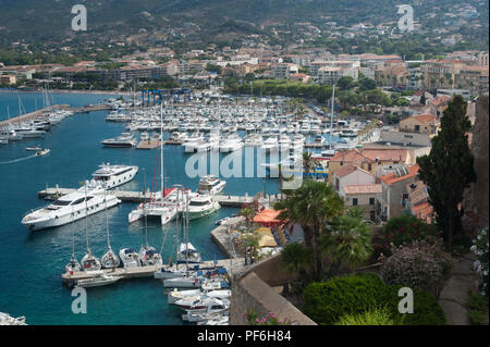 Il porto di Calvi, la Balagne, Corsica, Francia, Europa Foto Stock