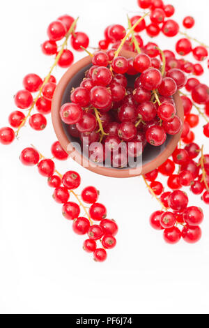 Ribes rosso isolato su uno sfondo bianco Foto Stock