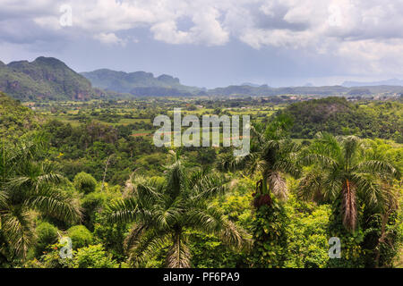 Valle di Viñales panorama, vista sul lussureggiante paesaggio verde, Pinar del Rio Provincia, Cuba Foto Stock