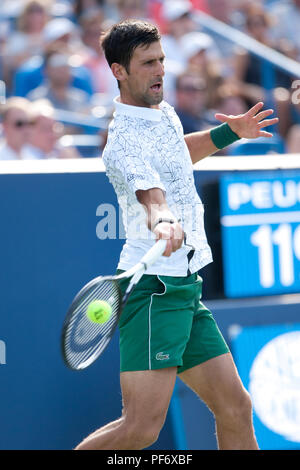 Cincinnati, OH, Stati Uniti d'America. 19 Ago, 2018. Occidentale e Meridionale Tennis aperto, Cincinnati, OH - Agosto 19, 2018 - Novak Djokovic in azione contro Roger Federer in finale dell'occidentale e meridionale torneo di tennis svoltosi a Cincinnati. Djokovic ha vinto 6-3 6-3. - Foto di Wally nellâ/ZUMA Premere Credito: Wally nellâ/ZUMA filo/Alamy Live News Foto Stock