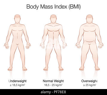 Indice di Massa Corporea BMI. Sottopeso, peso normale e il sovrappeso corpo maschio - illustrazione di tre uomini con differenti anatomia. Foto Stock