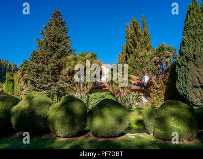 Welsh Tea House Ty Te Caerdydd giardino, Gaiman, l'Insediamento gallese, Chubut Provincia, Patagonia, Argentina Foto Stock