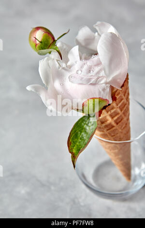 Fresh Bianco fiore peonia con bocciolo in goccioline di acqua in un vaso di vetro su una pietra grigio Sfondo, luogo per il testo Foto Stock