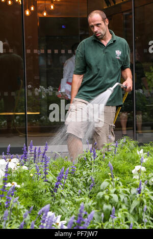 Un parco di innaffiamento delle presenze di aiuole fiorite utilizzando un tubo flessibile dell'acqua. In alcune parti del Regno Unito tubo flessibile divieto sarà applicato dal 5 agosto a causa di recente ondata di caldo e la mancanza di pioggia. Dotato di: atmosfera, vista in cui: Londra, Regno Unito quando: 20 lug 2018 Credit: Dinendra Haria/WENN Foto Stock