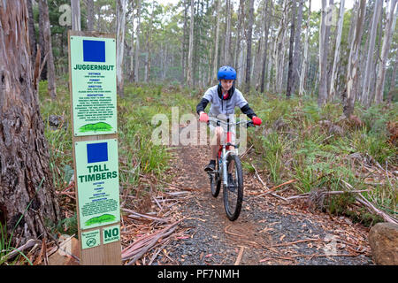 Ragazzo in bicicletta a Hollybank riserva forestale Foto Stock