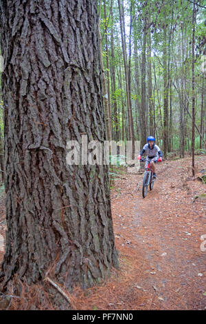 Ragazzo in bicicletta a Hollybank riserva forestale Foto Stock