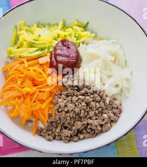 Cibo coreano di manzo e verdure bibimbap Foto Stock