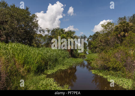 Scenic McDonald Canal nella contea del lago. Florida USA Foto Stock