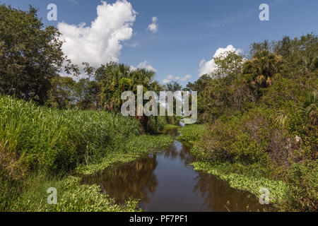 Scenic McDonald Canal nella contea del lago. Florida USA Foto Stock