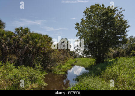 Scenic McDonald Canal nella contea del lago. Florida USA Foto Stock