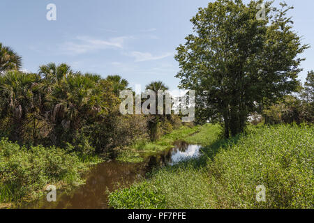 Scenic McDonald Canal nella contea del lago. Florida USA Foto Stock