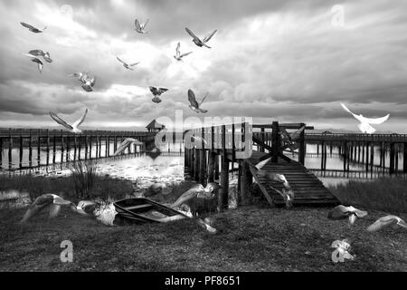 Alto contrasto bianco e nero gruppo di uccelli piccione volare sopra il lago sul ponte in legno sul ROI di Sam Yod National Park Pran Buri Foto Stock