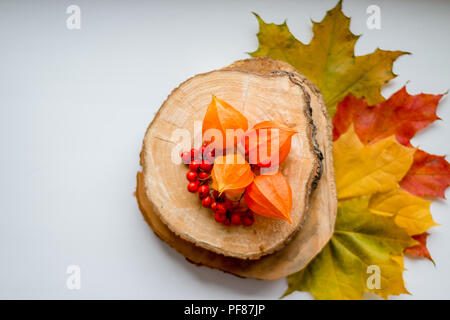 Rientrano ancora in vita con foglie di giallo, rowan bacche e physalis arancione sul taglio di legno, accogliente appartamento autunno laici bianco su sfondo di legno.ancora in vita con un foglie di autunno. Ottobre cartolina.spazio copia Foto Stock