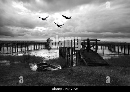 In bianco e nero gli uccelli in volo sopra il lago di alta contast con ponte di legno e la barca in Sam Roi Yod National Park Pran Buri Foto Stock