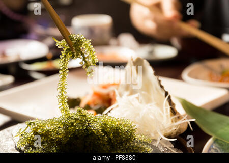 Bacchette con umi-budou alghe o uva di mare ( verde caviale ) alghe cibo sano Foto Stock
