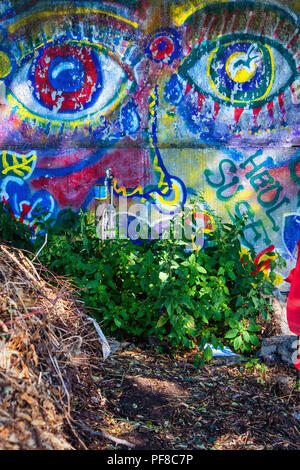 Berlino, Mitte.Niemandsland. Garten, No Mans Land giardino. Composter & graffiti in Chiesa comunità progetto giardino dietro la Cappella della Riconciliazione il Foto Stock
