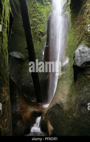 Cascate Nascoste Sombrio Beach L'Isola di Vancouver in Canada Foto Stock