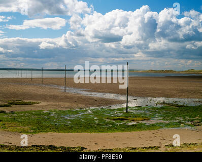 A Isola Santa Sands Northumberland, Regno Unito, guardando ad ovest dalla estremità Chare, Isola Santa su una marea incomming mostra poli marcatura l'antica rotta dei pellegrini Foto Stock