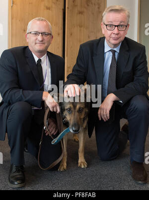 Il Segretario per l'ambiente Michael Gove (a destra) incontra il cane della polizia di eroe Finn, che ha subito gravi lesioni durante il servizio, e il suo gestore PC Dave Wardell nel suo ufficio a Londra, dopo aver dato il sostegno del governo a un disegno di legge che attua una cosiddetta "Legge del finlandese" che protegge cani e cavalli della polizia. Foto Stock