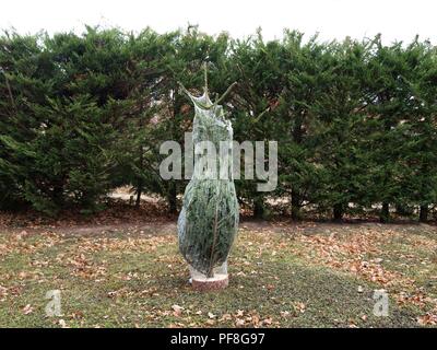 Albero di natale circondata di pini in una rete di plastica nel mezzo di un giardino Foto Stock