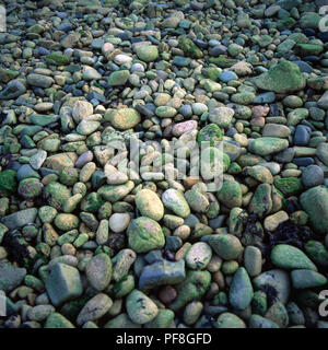 Closeup ad angolo alto di pietre diverse con muschio sulla parte superiore Foto Stock