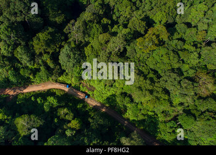 Drone foto di caricare i camion di registrazione su una strada di registrazione attraverso Deramakot riserva forestale, Sabah Malaysian Borneo Foto Stock